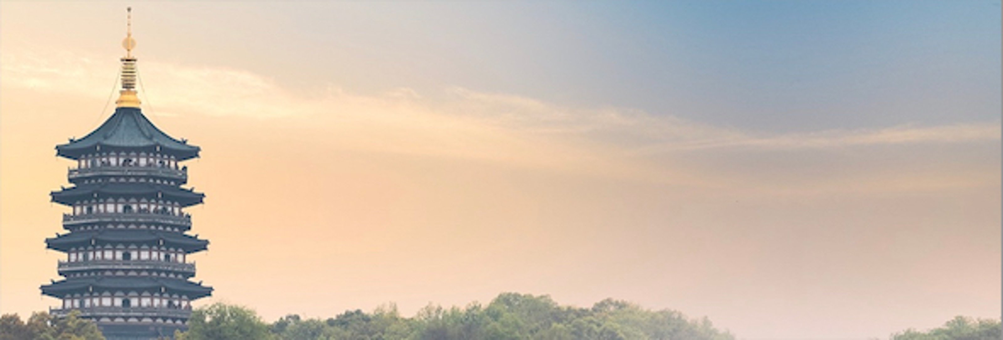 590x200.jpg